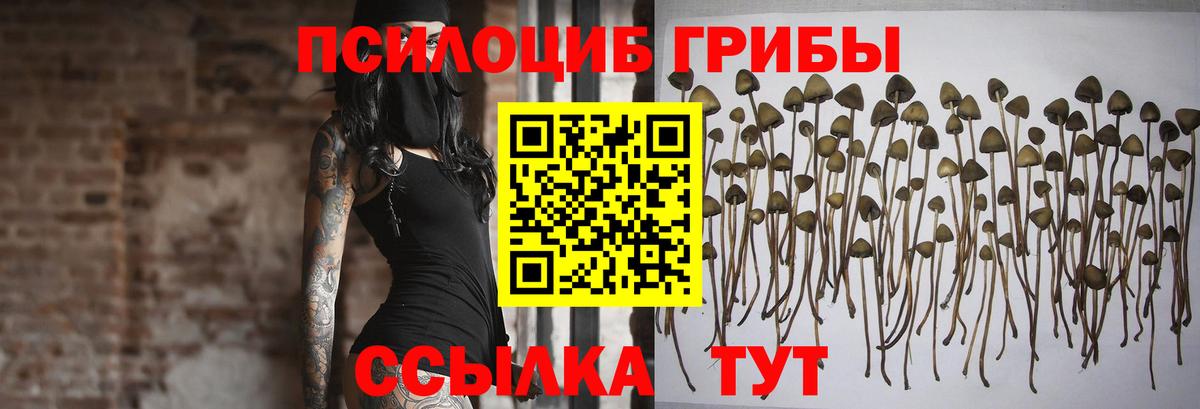 Галлюциногенные грибы MAGIC MUSHROOMS Георгиевск