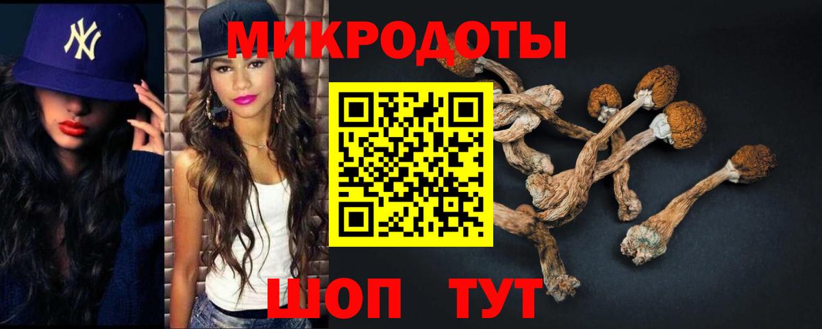 Галлюциногенные грибы GOLDEN TEACHER Георгиевск