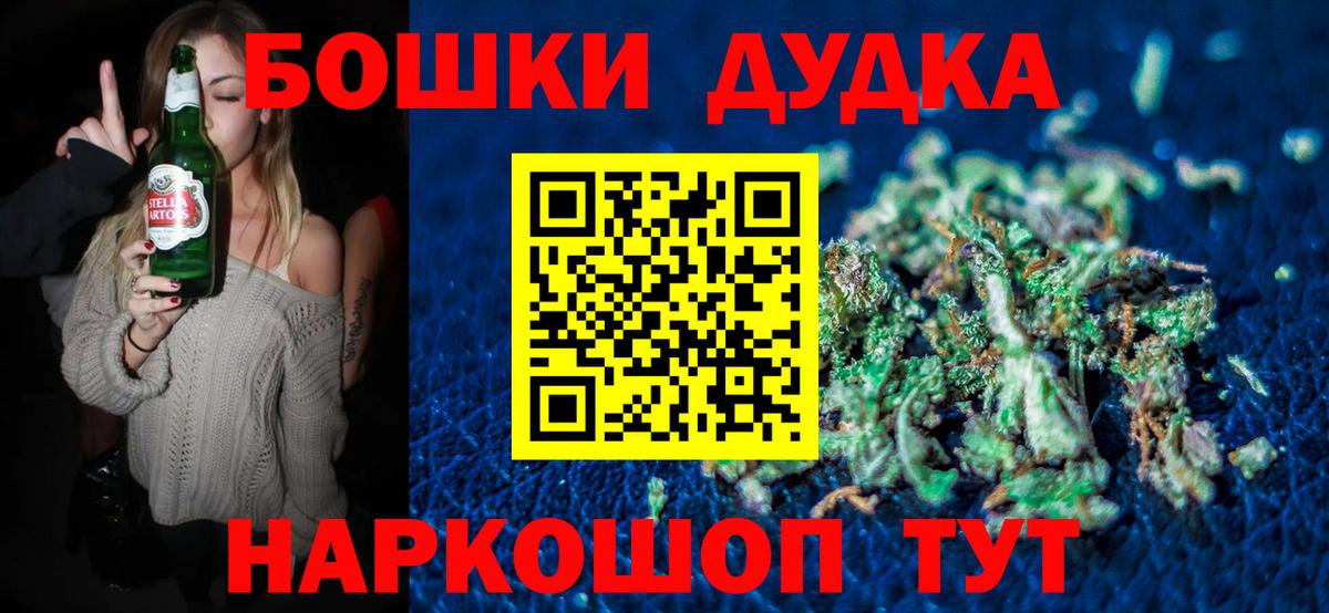 Бошки Шишки планчик Георгиевск